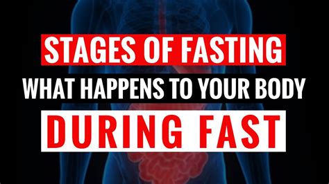 Stages Of Fasting What Happens During A Fast Youtube