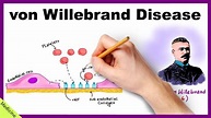 VON WILLEBRAND DISEASE: Pathophysiology, Clinical Findings, Diagnosis ...