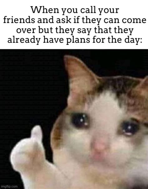 Sad Thumbs Up Cat Memes Imgflip