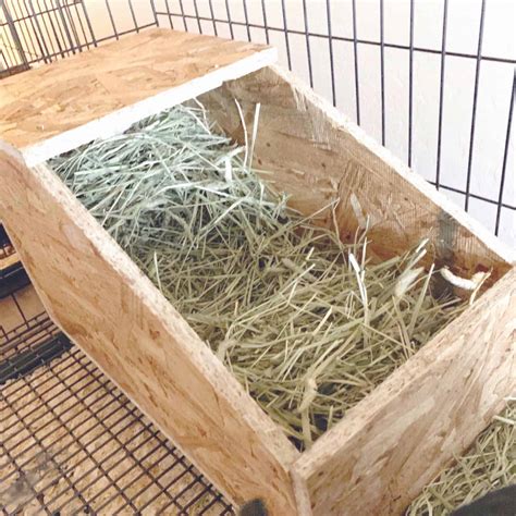 How To Build A Rabbit Nest Box 5 Easy Steps