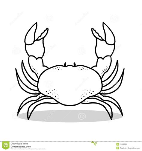 Download nu deze krab tekening op witte achtergrond hand getrokken schets zeevruchten illustratie vectorillustratie. De Rode Illustratie Van De Krab Stock Foto - Afbeelding ...