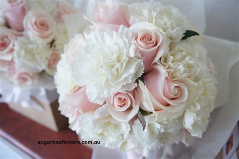Bouquet of carnation flower drawing and sketch. Sugar Bee Flowers: Sweet Mixed shades of pink & white ...