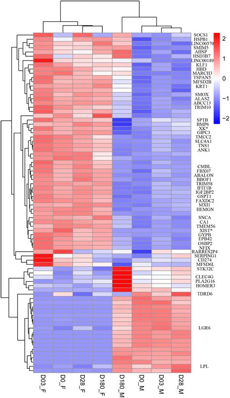 sex specific differences of humoral immunity and transcriptome diversification in older adults