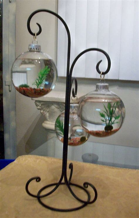 Unique Betta Fish Tank Projects Art And Craft Ideas