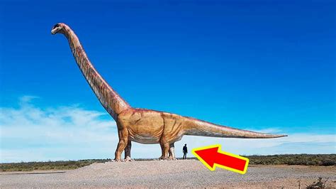 The Biggest Dinosaurs Of All Time Biggest Dinosaurs I