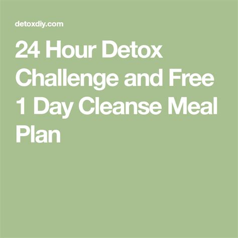 24 Hour Detox Challenge And Free 1 Day Cleanse Meal Plan Detox