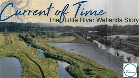 1 Current Of Time The Little River Wetlands Story The Formation Of