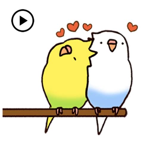 Lovely Budgie Animated Sticker App For Iphone Free Download Lovely