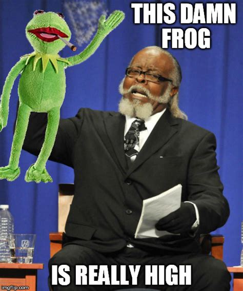 Damn This Frog Is High Imgflip