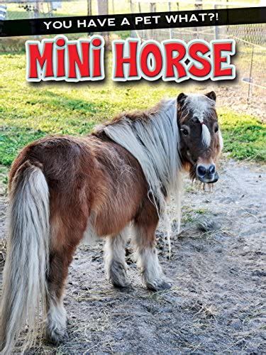 Miniature Horses As Pets