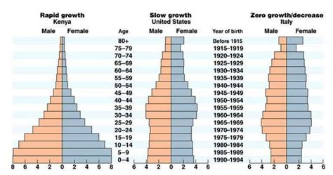 Geography World And India Concept Of Population Structure Age Sex Pyramid