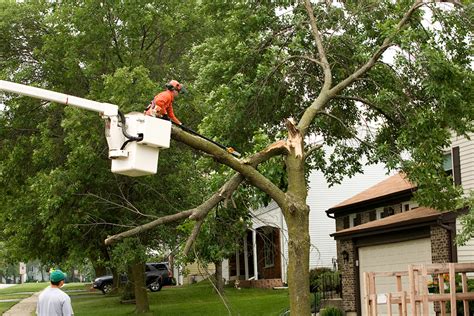 Emergency Tree Service Fort Worth Tx