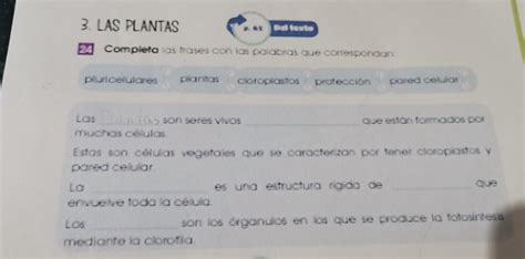 Ayudanporfavor Es Para Hoy La Tarea Porfa Ayuda El Que Me Ayuda Le Doy 30 Puntos Brainlylat