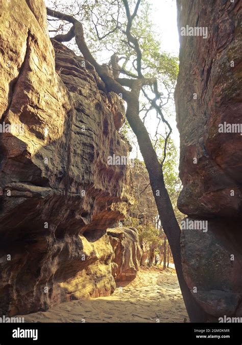 Bhimbetka Rock Shelters Unesco Heritage Site District Bhopal