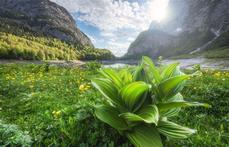 Photography Nature Landscape Spring Mountains