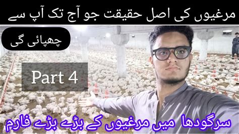 Poultry Farming In Sargodha Chicken Farming In Sargodha Youtube