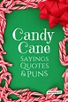 A Sweet and Twisted Collection of Candy Cane Sayings » AllWording.com