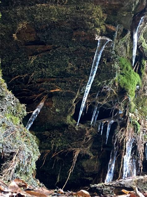 Alum Cave Trail Great Smoky Mountains National Park Gatlinburg