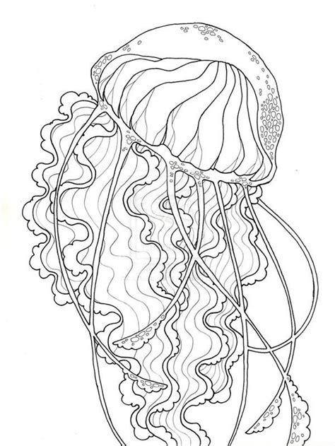 Coloring Page Jellyfish 20463 Animals Printable Coloring Pages