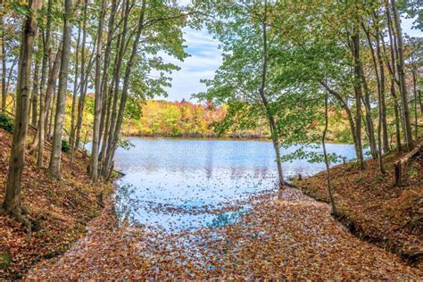 Autumn Lake Stream Stock Photo Image Of Pond Nature 232974374