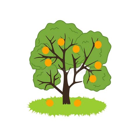 Orange Tree Icon Stock Vector Illustration Of Nature 83959756
