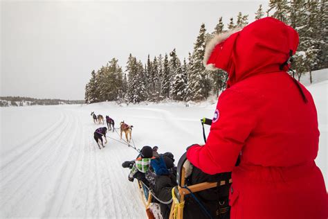 10 Fun Things To Do In Yellowknife Northwest Territories In Winter