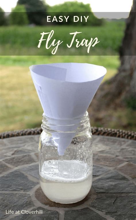 Easy DIY Fly Trap Diy Fly Trap Fly Traps Homemade Fly Traps