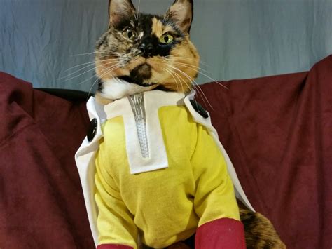 Cat Cosplay Of The Feline Variety — One Puuuuuuuuunch Debuting Our