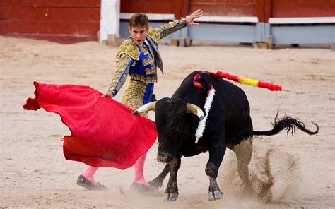 Download wallpaper: corrida, download photo, matador, desktop ...