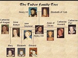 Family tree | The tudor family, Tudor history, Family tree