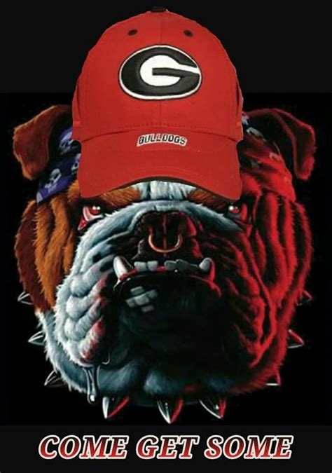 Georgia Bulldawgs Georgia Bulldogs Football Bulldogs Football