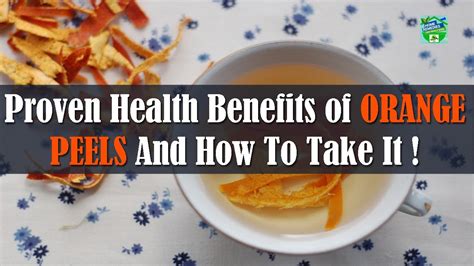Proven Health Benefits Of Orange Peels And How To Take It Youtube