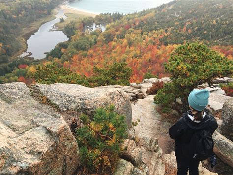 The Beehive Trail At Acadia National Park In Maine Acadia National