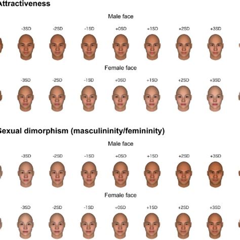 data driven computational model of attractiveness orthogonal to sexual download scientific