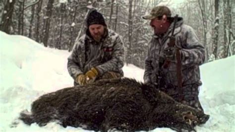 Boar Hunting Father Son Learn How To Hunt Russian Boar Youtube