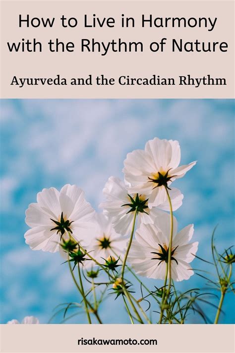 How To Live In Harmony With The Rhythm Of Nature Ayurveda And The