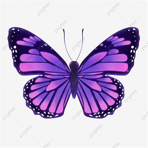 Purple Butterfly Png Material Purple Butterfly Butterfly Cartoon Butterfly Png Transparent
