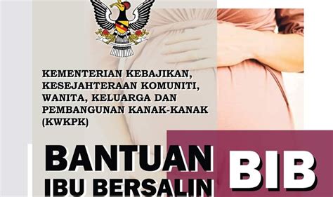 Semakan br1m 2018 online : Permohonan Bantuan Ibu Bersalin 2020 BIB Online (Semakan ...