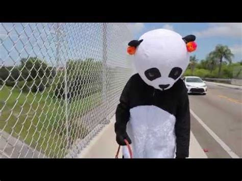 Amanda The Panda Youtube
