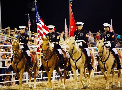 The Mounted Color Guard A Small Cadre Operating Out Of Marine Corps