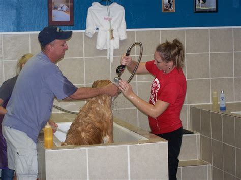 We are proud to provide you with stores where you can wash 'em, feed 'em, spoil 'em and love 'em! Do-It-Yourself Pet Wash