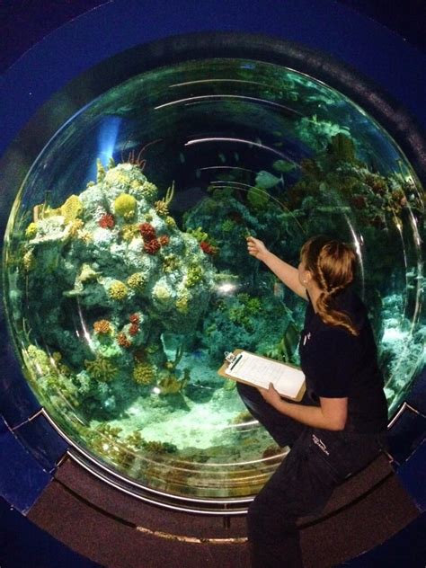 Bristol Aquarium Inviting Visitors To Take Stock Bristol Aquarium