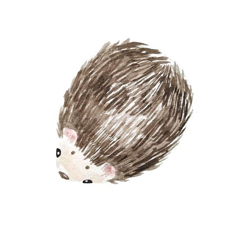 Set Of Hedgehogs Natural Background With Cute Watercolor Cartoon