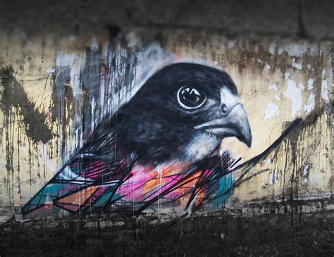 Impressive Graffiti Birds By A Young Brazilian Artist