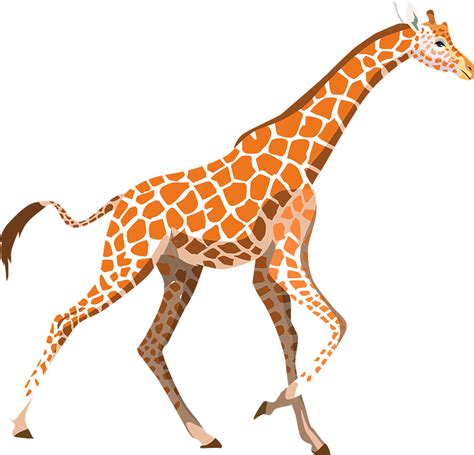 Giraffe Clip Art Transparent