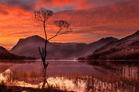 Lake District England Sunrise Water Tree Reflection Wallpapers Hd