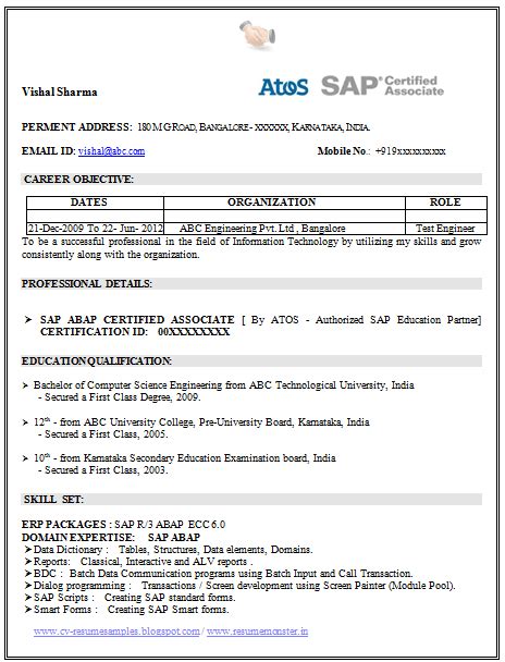 What are the 3 main resume formats. Over 10000 CV and Resume Samples with Free Download: SAP ...