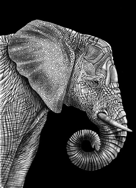 Countless Pens Used To Draw Detailed Animals Portraits Ink Pen