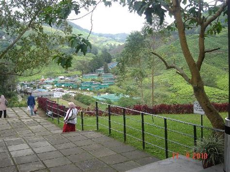 This tea plantation is also from boh plantations, just like number 1. Cafe 3 - Picture of Boh Tea Plantation, Cameron Highlands ...