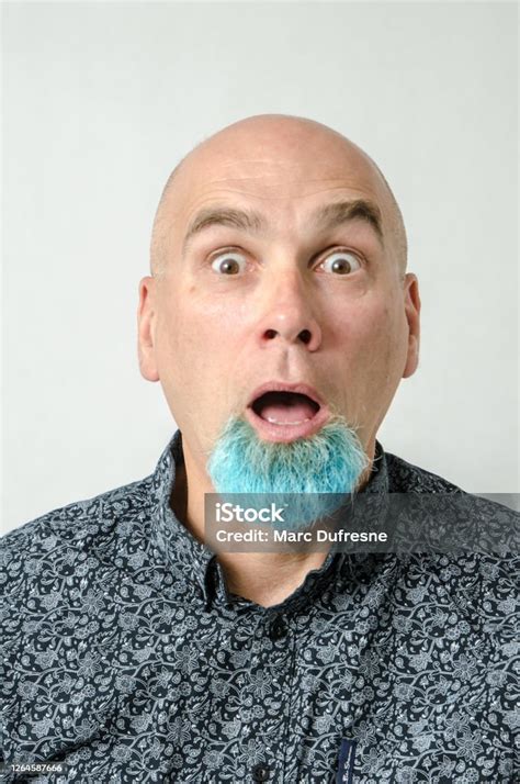 Potret Seorang Pria Botak Dengan Jenggot Dicelup Biru Di Dagu Foto Stok